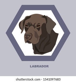  Vector illustration. Brown Labrador dog icon.