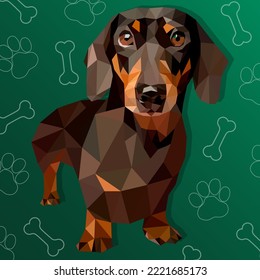 Ilustración vectorial de dachshund perro poligonal marrón bajo de poli rodeado de garras y huesos de línea blanca aislados en verde oscuro. Veterinaria, tiendas, niños, concepto de impresión.