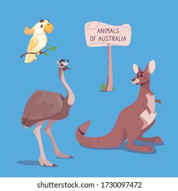 Vector illustration of a brown marsupial kangaroo, emu ostrich and cockatoo, isolated on blue background. Cute australian animals in cartoon style. Drawing, for printing, for children's books, cards