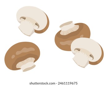 Vector illustration of brown mushroom