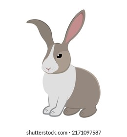 Vector illustration of a brown rabbit.