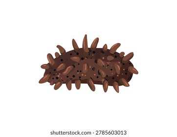Vector illustration of a brown sea cucumber.
