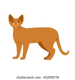 Vector illustration of a brown single-colored cat with yellow eyes. icon