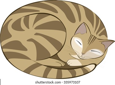vector illustration of a brown tabby cat sleeping