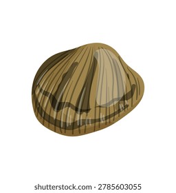 Vector illustration of a brown and tan striped clam.
