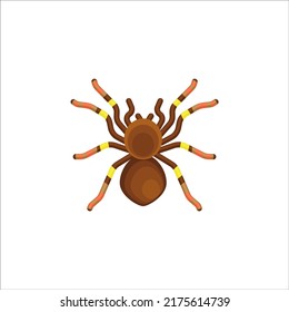 vector illustration of a brown tarantula spider