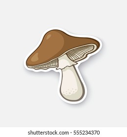 Vector illustration. Brown toadstool. Poisonous mushroom. Edible mushroom. Cartoon sticker in comic style with contour. Decoration for greeting cards, posters, patches, prints for clothes, emblems