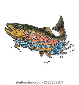 Vector illustration of a brown trout leaping through water splashes on white