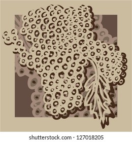Vector illustration of brown vintage abstract background. Hand drawn grapes in frame. Old painting.