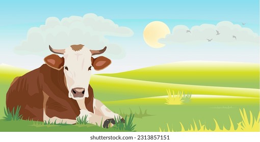vector illustration brown white cream cow sitting lying on the grass field hill field village in the morning sunny