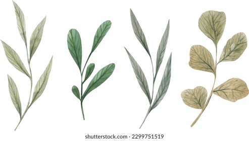 Vector illustration of brunches with green leaf. Hand painted greenery element with watercolor effects. Individual natural cliparts
