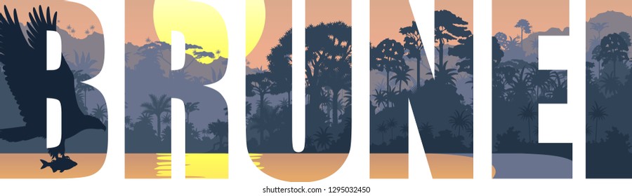 vector illustration of Brunei with white bellied sea eagle