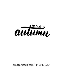 Vector illustration: Brush lettering composition of Hello autumn with yellow leaves isolated on white background