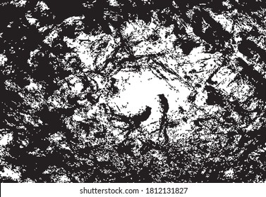 Vector illustration of brush srokes texture background set. Abstract textured effect. 