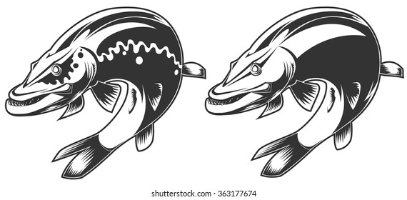 vector illustration of brutal aggressive toothy pike