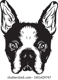 Vector illustration of BT Walker Dog in Black n White. Detailed with hand-drawn feel. Ready to use.