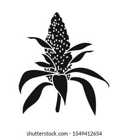 Vector illustration of bud and marijuana logo. Graphic of bud and inflorescence vector icon for stock.