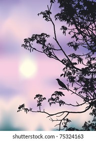 Vector illustration. In the budding branches of the walnut young nightingale song greets the spring sun