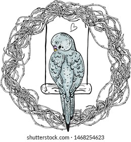 Vector illustration of a budgie on a white background. Sleeping bird on a branch. Budgerigar.