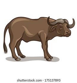 Vector illustration of a buffalo isolated on a white background