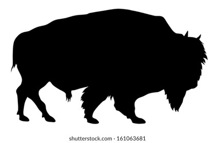 Vector illustration of buffalo silhouette