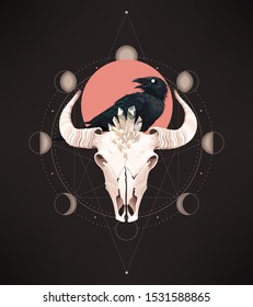 Vector illustration of buffalo skull and raven