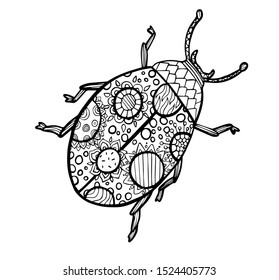 vector illustration of a bug coloring book, ladybug