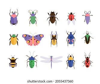 Vector illustration of bugs. Insect set. Beetle icons collection