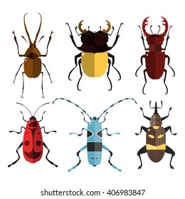 Vector illustration of bugs. Isolated on a white background. Beetle flat icons. Insect set.