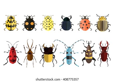 Vector illustration of bugs. Isolated on a white background. Beetle flat icons. Insect set.