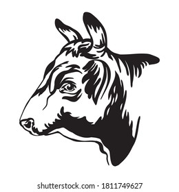 Vector illustration of bull head icon in black color isolated on white background. Engraving template image of cow. Design element for poster, t shirt, emblem, logo, sign.