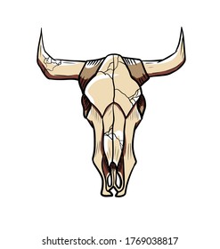vector illustration of a bull skull isolated made in cartoon hand drawn style