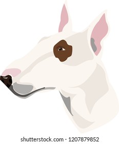 Vector Illustration of Bull Terrier 