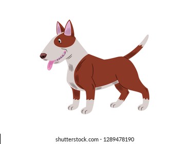 Vector illustration of a bull terrier breed dog, cartoon style.