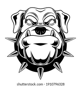 Vector illustration of a bulldog. Angry bulldog for a t-shirt. Be aware of dogs.