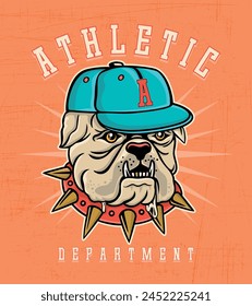 Vector illustration of bulldog with cap in mascot style. Art with lettering in college style.