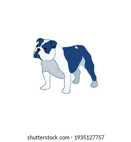 vector illustration of a bulldog. Digital drawing with spots