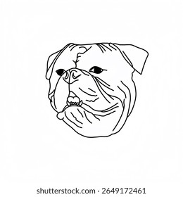 Ilustração vetorial da face do buldogue sobre fundo branco