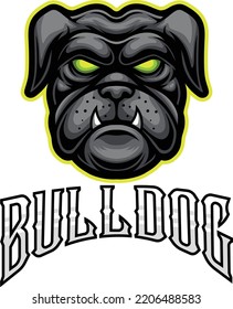vector illustration of bulldog head mascot for esport and sport logo 