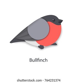 Vector illustration of bullfinch bird.