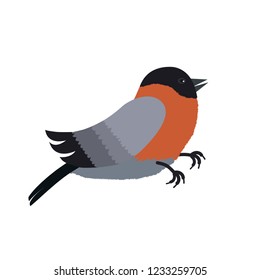 Vector illustration of Bullfinch isolated on white background