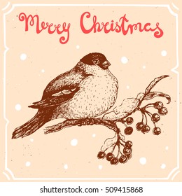 Vector illustration of bullfinch on the rowan,text Merry Christmas on the background with abstract paper texture,retro frame.