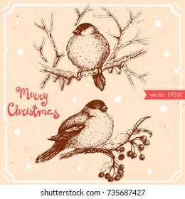 Vector illustration of bullfinch on the rowan,text Merry Christmas on background with abstract paper texture.Christmas set with tree branch and bird sketch.Linear art in vintage style for your design.