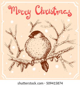 Vector illustration of bullfinch on the tree branch,text Merry Christmas on the background with abstract paper texture,retro frame.