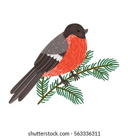 Vector illustration of bullfinch sitting on fir branch. Isolated on white. Cute cartoon character.