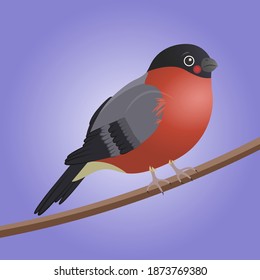 Vector illustration of a bullfinch songbird.Winter, holiday.