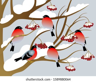 Vector illustration. Bullfinches on a branch of viburnum.