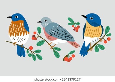 Ilustración vectorial con aletas y bayas rojas. Ilustración vectorial aislada con aves.