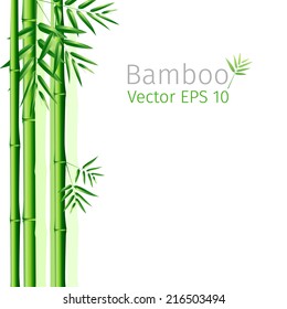 vector illustration  bunch of bamboo leaves background