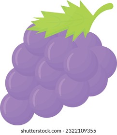 Vector illustration of a bunch of beautiful ripe grapes.